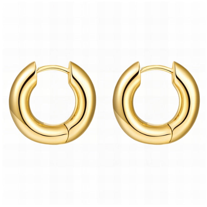 ARENA Hoop Earrings