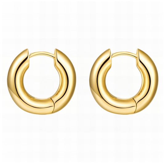 ARENA Hoop Earrings